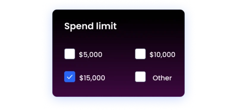 Dynamic Spend Limit Adjustments